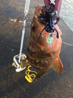 初の日本海沖堤防