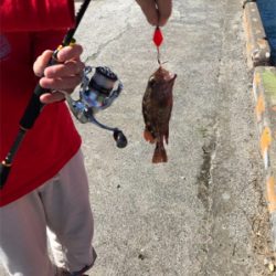 合津港で初釣り