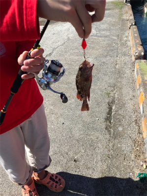 合津港で初釣り