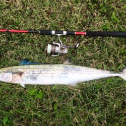 LSJigginger0805〜0928