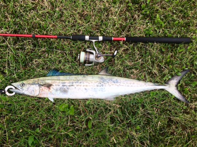 LSJigginger0805〜0928