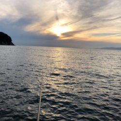 磯なのに太刀魚ゲーム