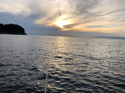 磯なのに太刀魚ゲーム