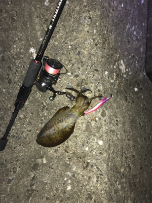 釣りメイカーのイベント