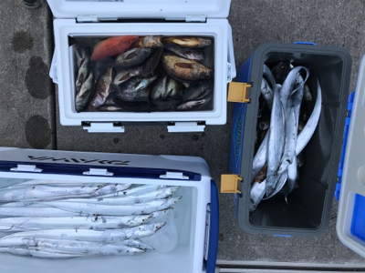 タチウオジギング  メバルサビキ