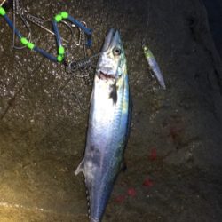 ゴロタフィッシング