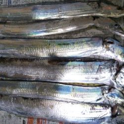 もうちょっと釣りたいよ〜