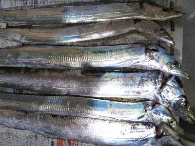 もうちょっと釣りたいよ〜