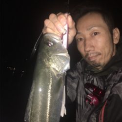 ナイトシーバシング☆GUNNING-STYLE