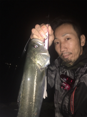 ナイトシーバシング☆GUNNING-STYLE