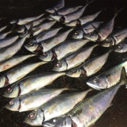 リフトでの高反応