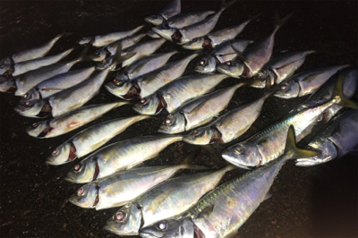 リフトでの高反応