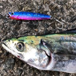 一瞬の時合いで1匹ゲット！