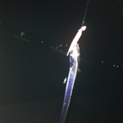 夜タッチポン‼︎