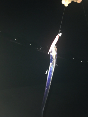 夜タッチポン‼︎