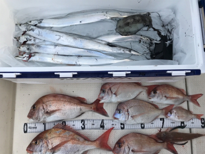 タチウオジギング  鯛ラバ