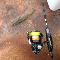 デイアジング!…のつもり