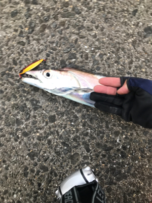 初ドラゴンありがとうございます！