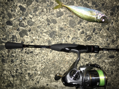 いつものアジング