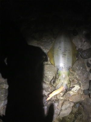 微妙な天気だよねー