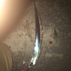 今夜もぼちぼちです‼︎