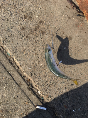 まさかのゲスト