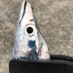タチウオ釣行