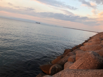 青物、太刀魚狙い