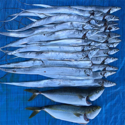 ショアジギ ング