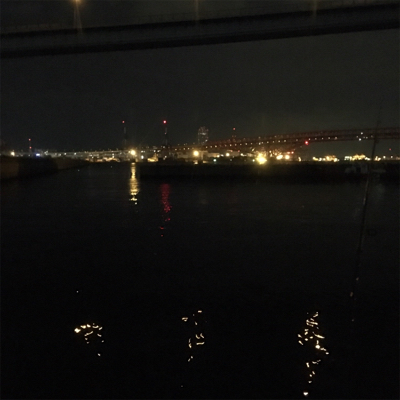 大阪奥湾アジング