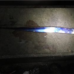 アナゴ&タチウオゲット