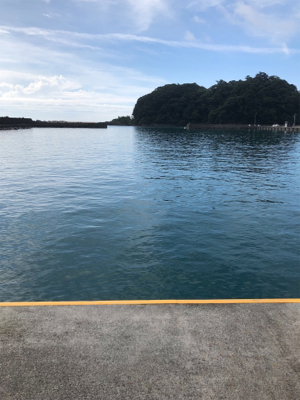 弾丸イカツアー