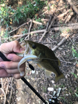 放課後フィッシング