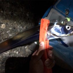 太刀魚 炸裂連チャンモード