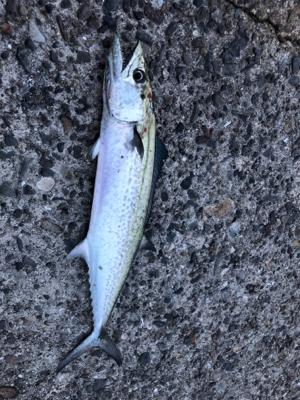 仕事終わりの早朝