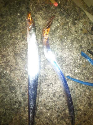 南港フェリー乗り場（本日ダブルヘッダー）