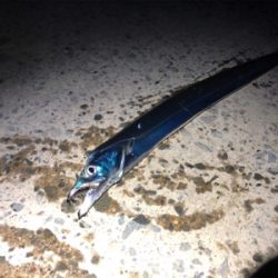 うねりがあったけど…