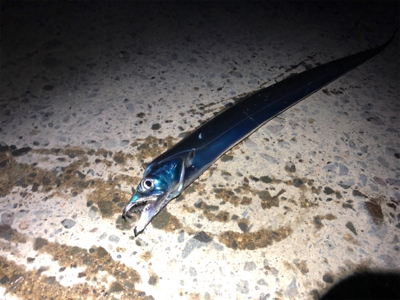 うねりがあったけど…