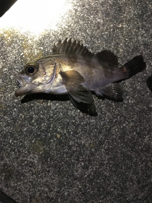 五目達成ライトゲーム