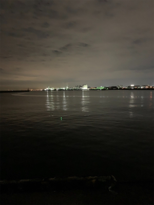 初タチウオの餌釣り