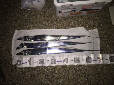 潮が動かない、、、