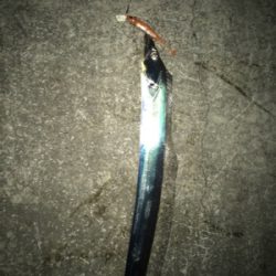 今夜は渋い‼︎