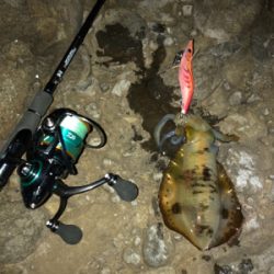 半月を眺めながら今夜も