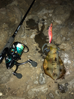 半月を眺めながら今夜も