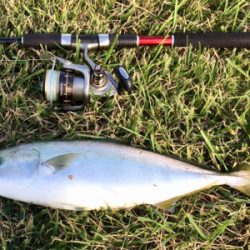 LSJigginger0600〜0850