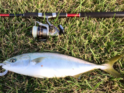 LSJigginger0600〜0850