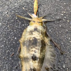 モーニングサービス頂きました！