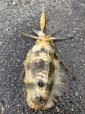 モーニングサービス頂きました！