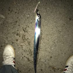 今日も行って来ました！