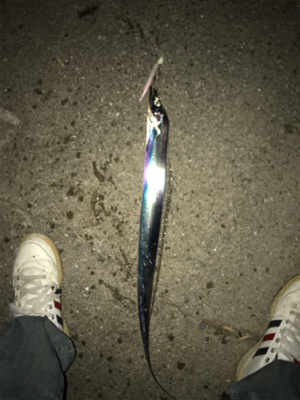 今日も行って来ました！